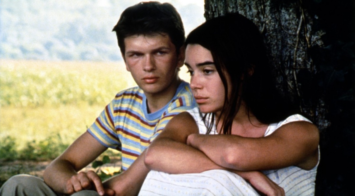 Les Roseaux Sauvages Streaming Test Blu-ray / Les Roseaux sauvages, réalisé par André Téchiné